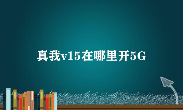 真我v15在哪里开5G