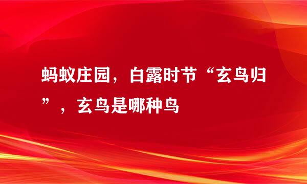 蚂蚁庄园，白露时节“玄鸟归”，玄鸟是哪种鸟