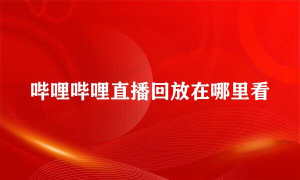 哔哩哔哩直播回放在哪里看