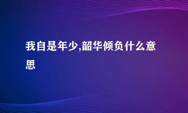我自是年少,韶华倾负什么意思