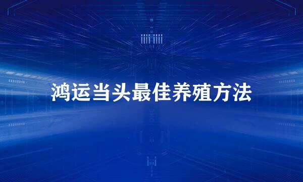 鸿运当头最佳养殖方法