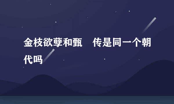 金枝欲孽和甄嬛传是同一个朝代吗