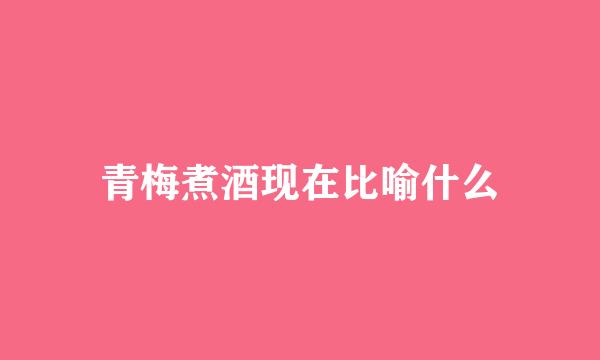 青梅煮酒现在比喻什么
