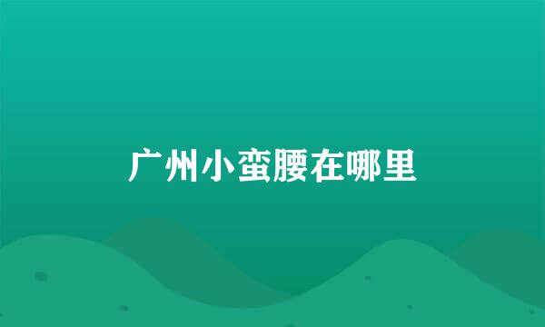 广州小蛮腰在哪里