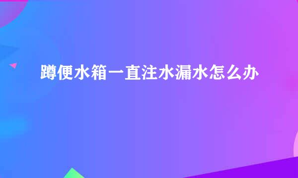 蹲便水箱一直注水漏水怎么办