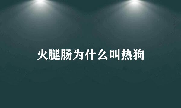 火腿肠为什么叫热狗