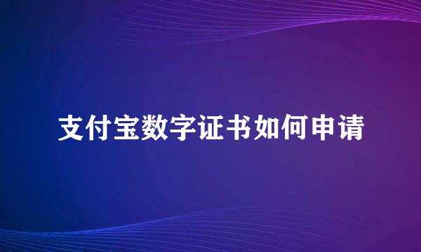支付宝数字证书如何申请