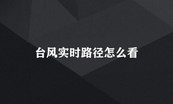 台风实时路径怎么看