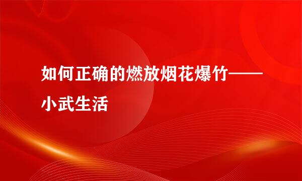 如何正确的燃放烟花爆竹——小武生活