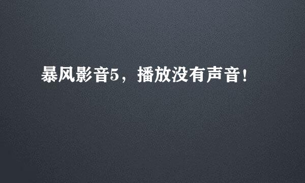 暴风影音5，播放没有声音！