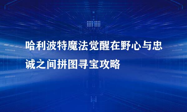 哈利波特魔法觉醒在野心与忠诚之间拼图寻宝攻略