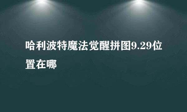 哈利波特魔法觉醒拼图9.29位置在哪