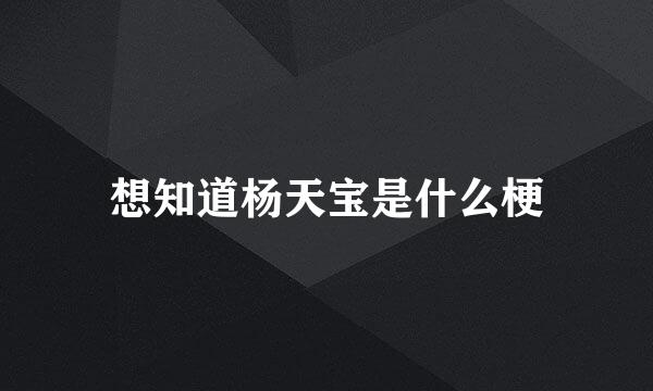 想知道杨天宝是什么梗