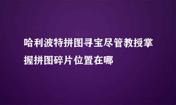 哈利波特拼图寻宝尽管教授掌握拼图碎片位置在哪