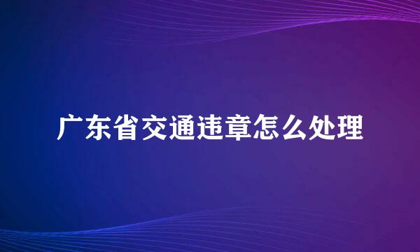 广东省交通违章怎么处理