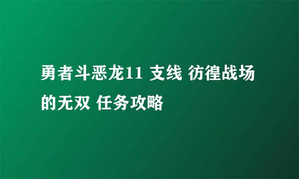 勇者斗恶龙11 支线 彷徨战场的无双 任务攻略