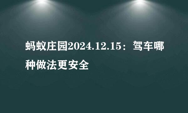 蚂蚁庄园2024.12.15：驾车哪种做法更安全