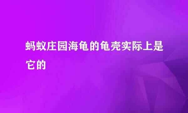 蚂蚁庄园海龟的龟壳实际上是它的