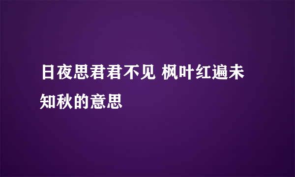 日夜思君君不见 枫叶红遍未知秋的意思