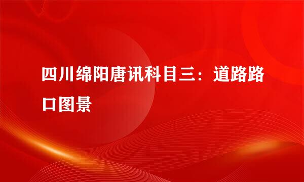 四川绵阳唐讯科目三：道路路口图景
