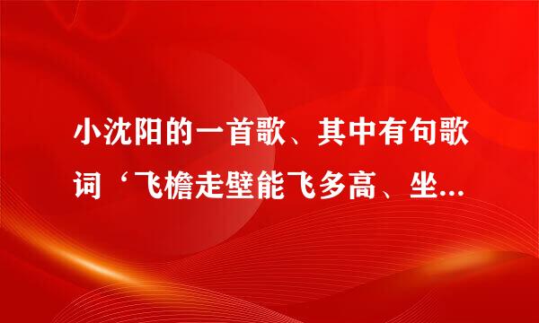 小沈阳的一首歌、其中有句歌词‘飞檐走壁能飞多高、坐船练习水上漂’请问谁知道这首歌叫什么名字