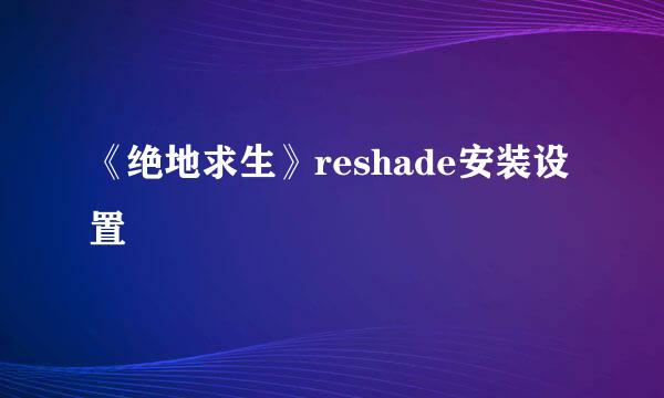 《绝地求生》reshade安装设置