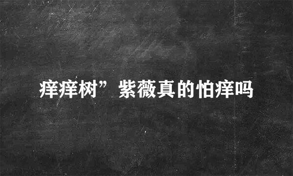 痒痒树”紫薇真的怕痒吗