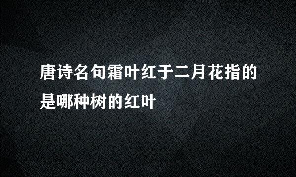 唐诗名句霜叶红于二月花指的是哪种树的红叶