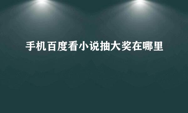 手机百度看小说抽大奖在哪里