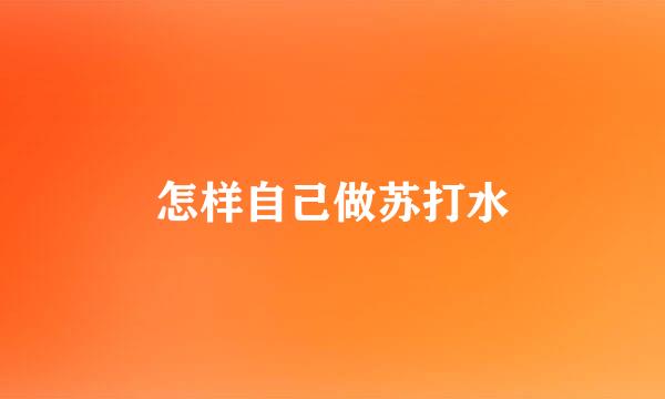 怎样自己做苏打水