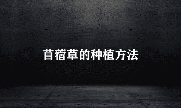 苜蓿草的种植方法