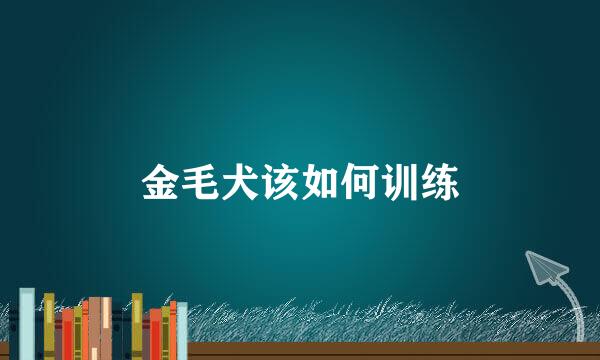 金毛犬该如何训练