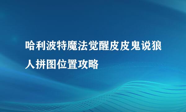 哈利波特魔法觉醒皮皮鬼说狼人拼图位置攻略