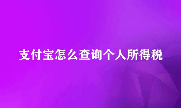 支付宝怎么查询个人所得税