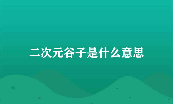 二次元谷子是什么意思
