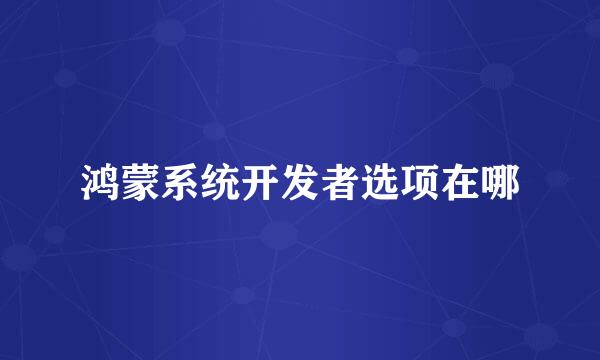 鸿蒙系统开发者选项在哪