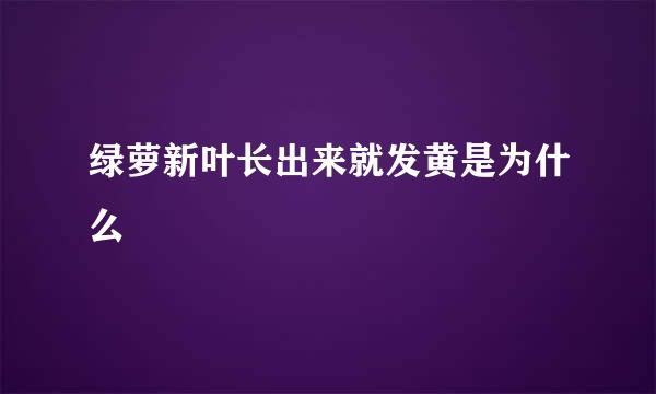 绿萝新叶长出来就发黄是为什么