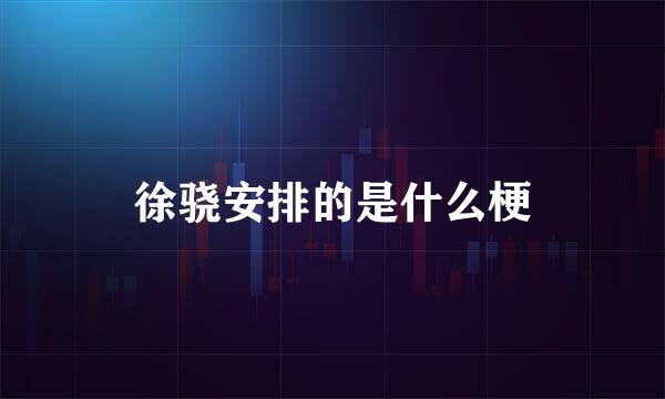 徐骁安排的是什么梗