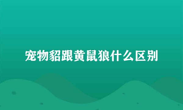 宠物貂跟黄鼠狼什么区别