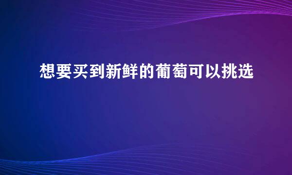 想要买到新鲜的葡萄可以挑选