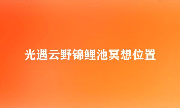 光遇云野锦鲤池冥想位置