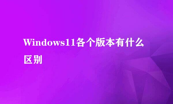 Windows11各个版本有什么区别