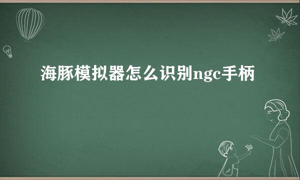 海豚模拟器怎么识别ngc手柄
