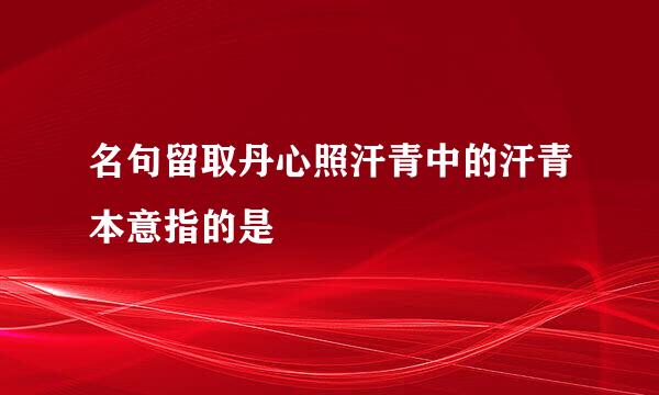 名句留取丹心照汗青中的汗青本意指的是