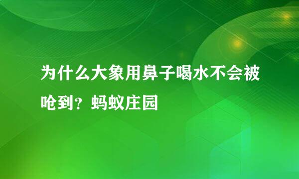 为什么大象用鼻子喝水不会被呛到？蚂蚁庄园