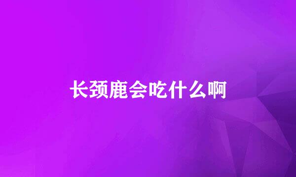 长颈鹿会吃什么啊