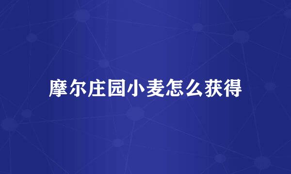 摩尔庄园小麦怎么获得