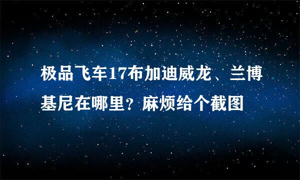 极品飞车17布加迪威龙、兰博基尼在哪里？麻烦给个截图
