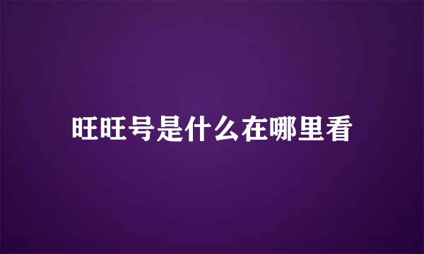 旺旺号是什么在哪里看