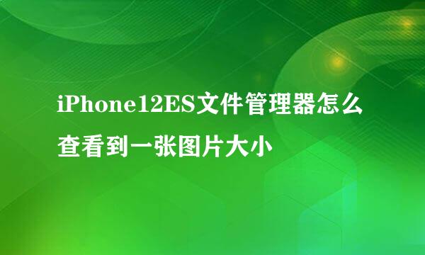 iPhone12ES文件管理器怎么查看到一张图片大小